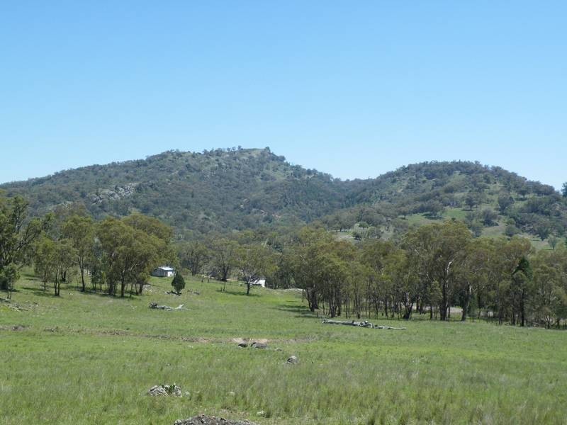 322 Wallabadah Road, Wallabadah NSW 2343