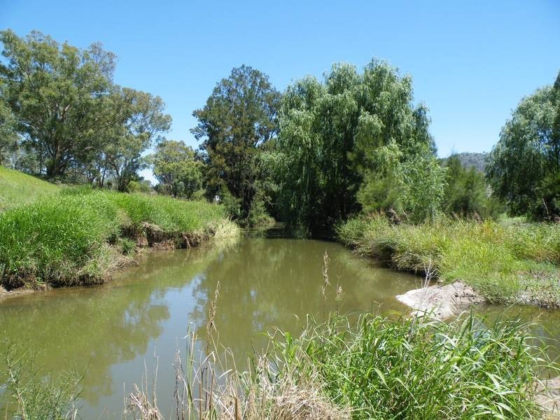 322 Wallabadah Road, Wallabadah NSW 2343