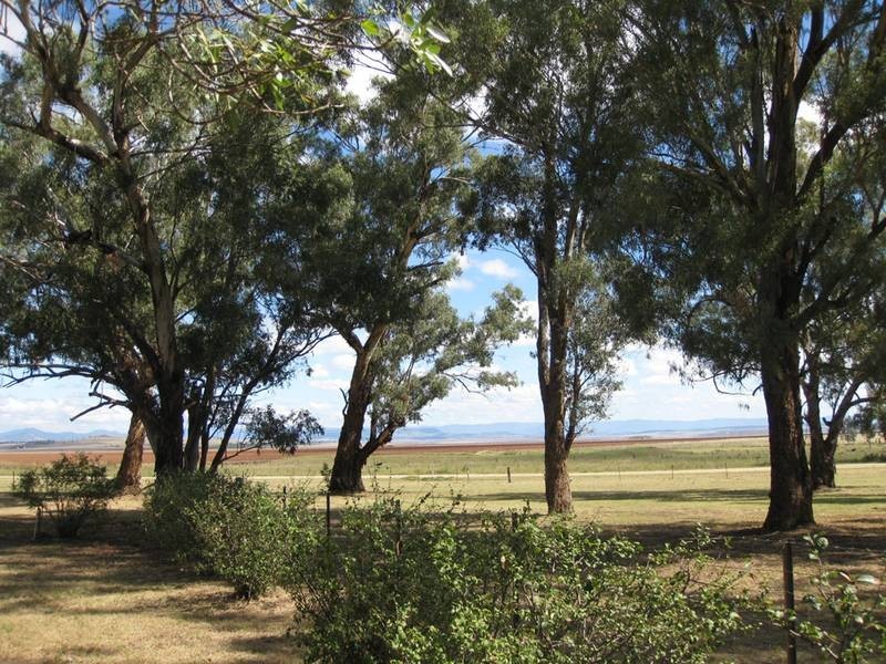 579 Inverkip Road, Quirindi NSW 2343