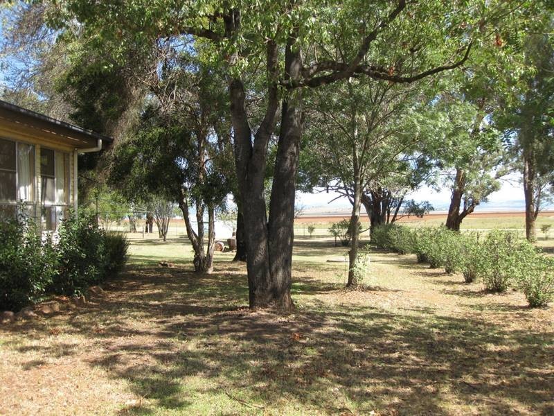 579 Inverkip Road, Quirindi NSW 2343