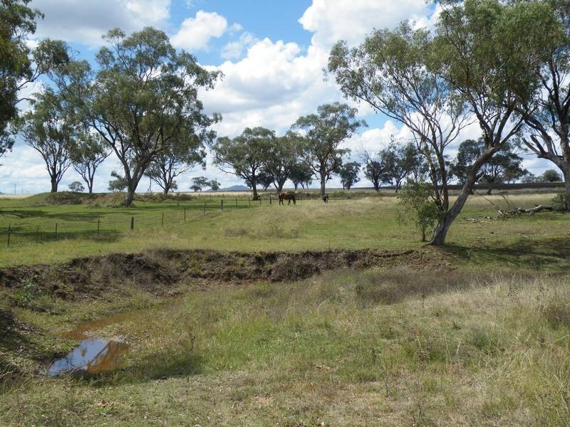 235 Bells Gate Road, Quirindi NSW 2343