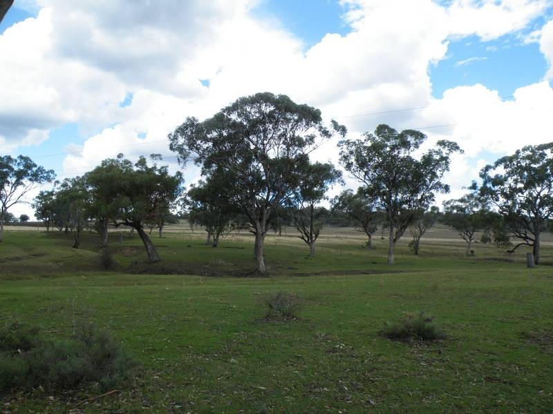 235 Bells Gate Road, Quirindi NSW 2343