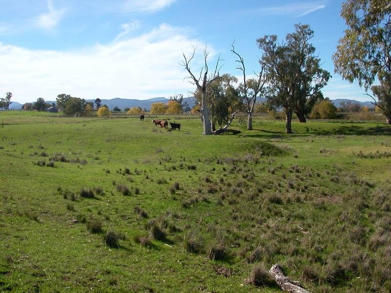 Lot 122,  Borah Creek Road, Quirindi NSW 2343