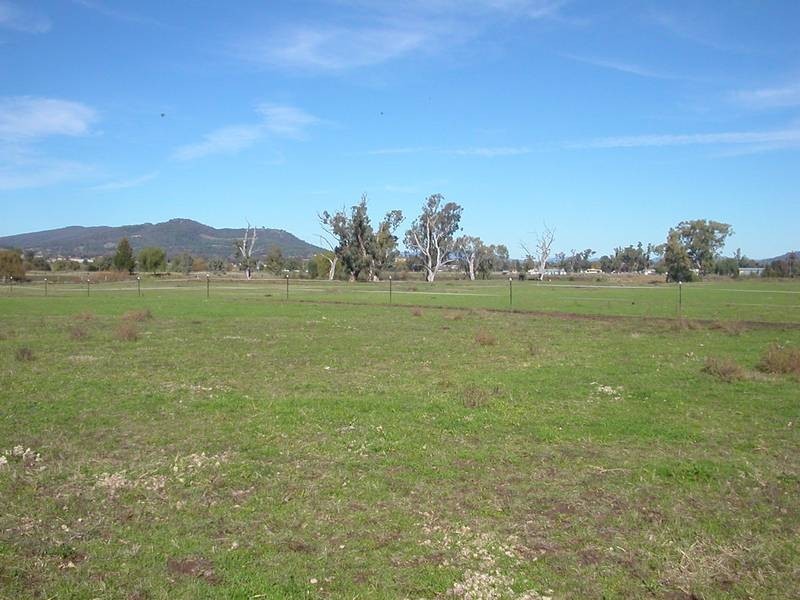 Lot 122,  Borah Creek Road, Quirindi NSW 2343