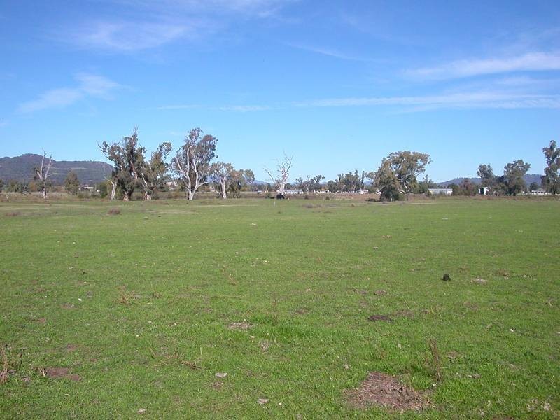 Lot 122,  Borah Creek Road, Quirindi NSW 2343