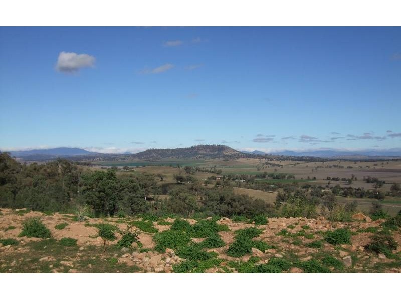 55 Ray Carter Drive, Quirindi NSW 2343