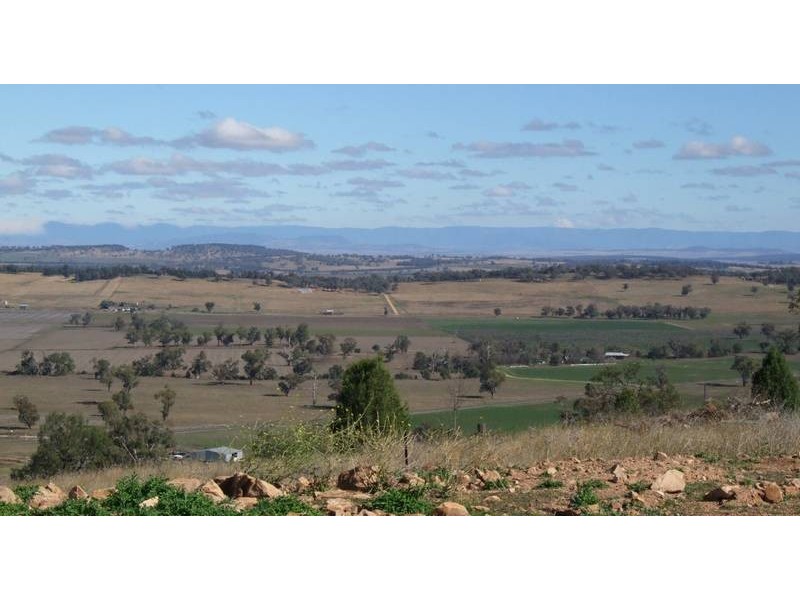 55 Ray Carter Drive, Quirindi NSW 2343