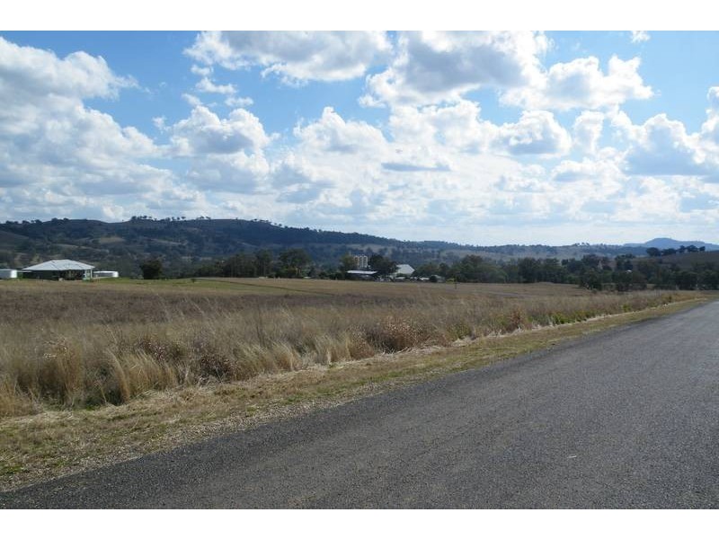 6 Raphie Howard Drive, Willow Tree NSW 2339