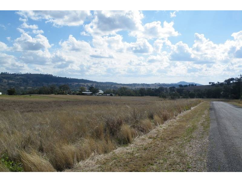 6 Raphie Howard Drive, Willow Tree NSW 2339