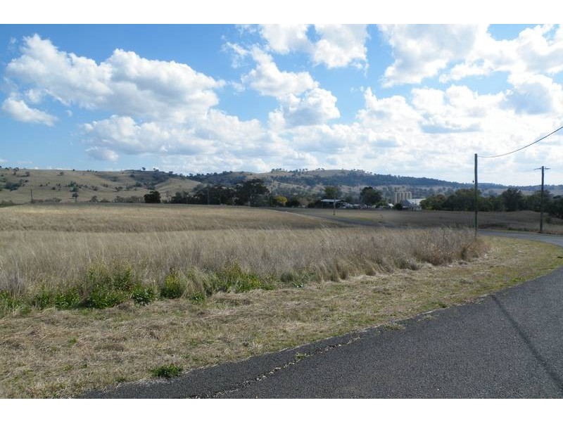 6 Raphie Howard Drive, Willow Tree NSW 2339