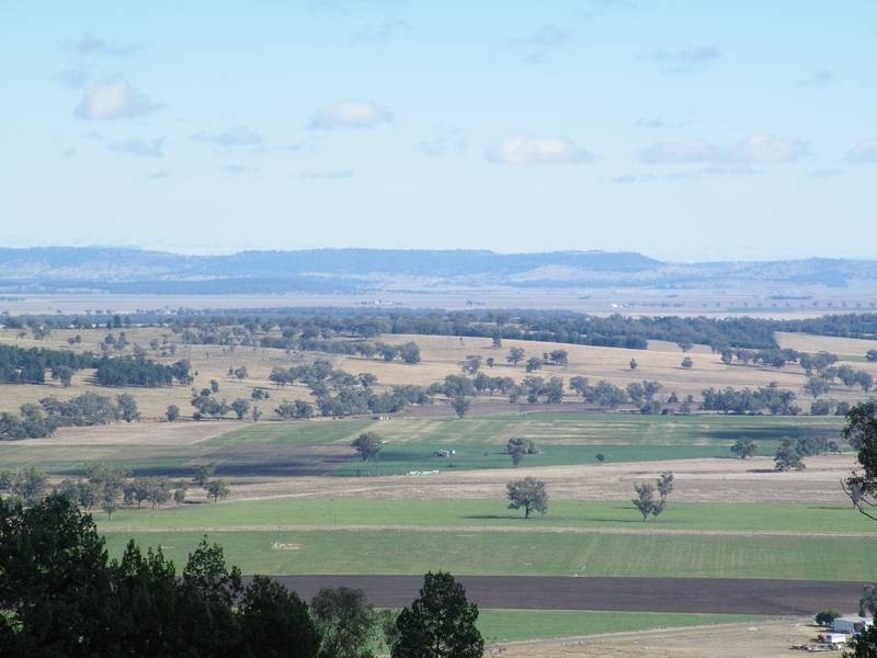 Ray Carter Drive, Quirindi NSW 2343