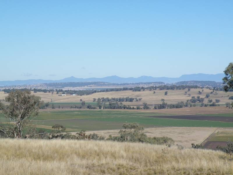 Ray Carter Drive, Quirindi NSW 2343