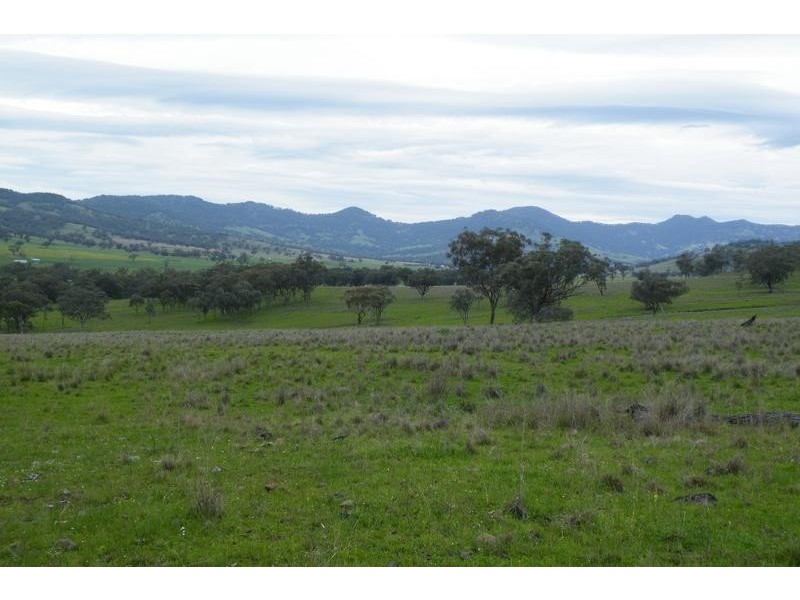 562 Big Jacks Creek Road, Willow Tree NSW 2339