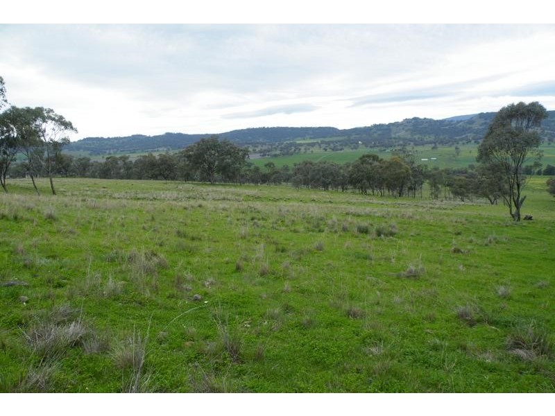 562 Big Jacks Creek Road, Willow Tree NSW 2339