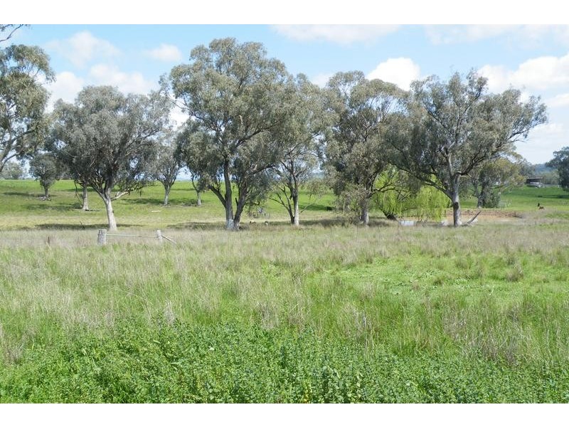 321 Callaghans Lane, Quirindi NSW 2343