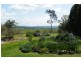 321 Callaghans Lane, Quirindi NSW 2343