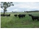 Warrah Subdivision Road, Willow Tree NSW 2339