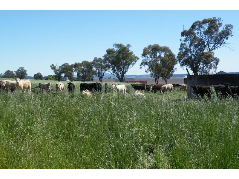 Warrah Subdivision Road, Willow Tree NSW 2339