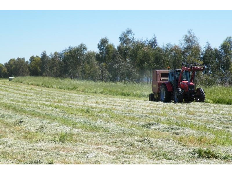 Warrah Subdivision Road, Willow Tree NSW 2339