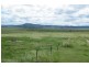 Warrah Subdivision Road, Willow Tree NSW 2339