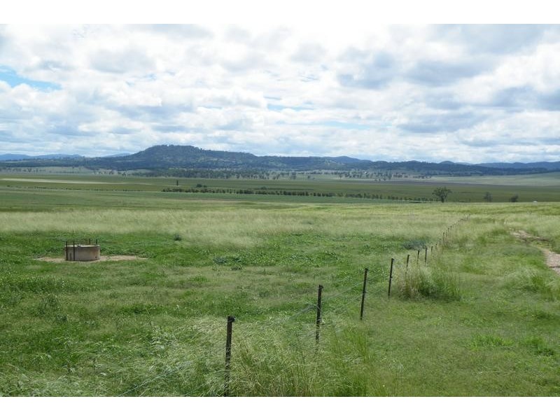 Warrah Subdivision Road, Willow Tree NSW 2339