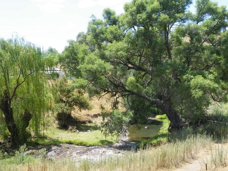 2 Dewhurst Street, Werris Creek NSW 2341