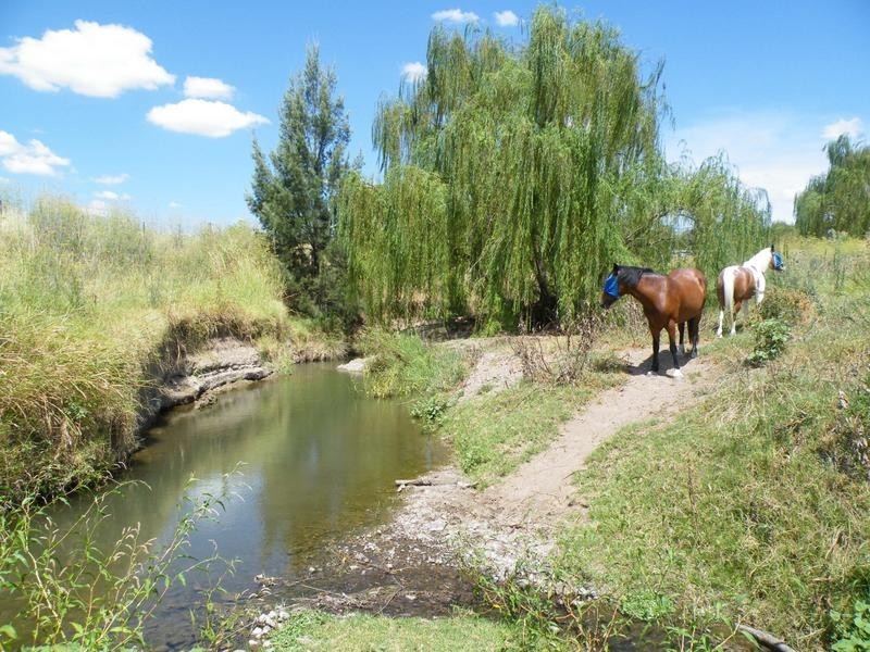 2 Dewhurst Street, Werris Creek NSW 2341