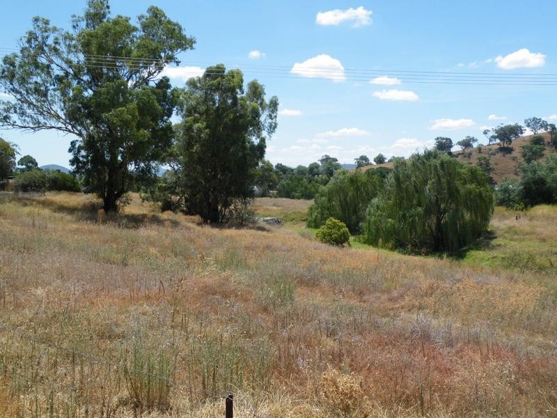 2 Dewhurst Street, Werris Creek NSW 2341