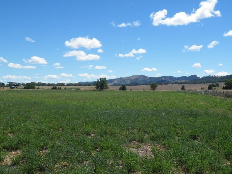 386 Wallabadah Road, Quirindi NSW 2343