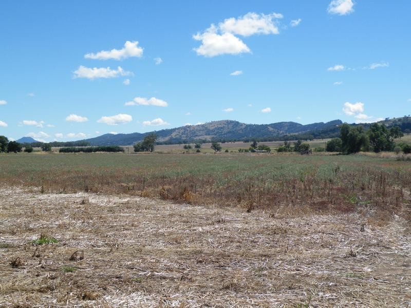 386 Wallabadah Road, Quirindi NSW 2343