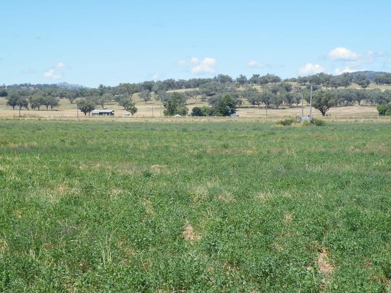 386 Wallabadah Road, Quirindi NSW 2343