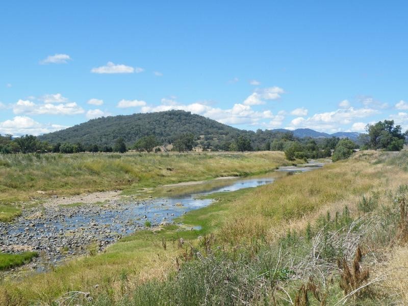 386 Wallabadah Road, Quirindi NSW 2343