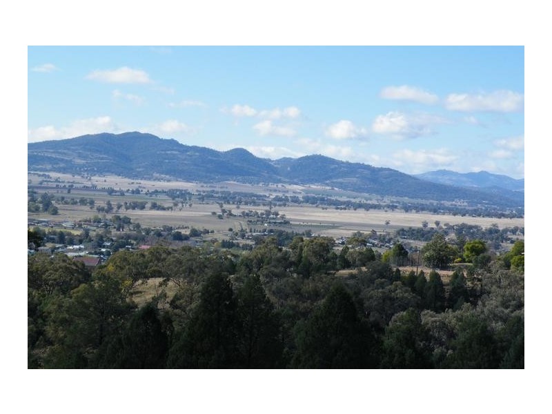 Ray Carter Drive, Quirindi NSW 2343