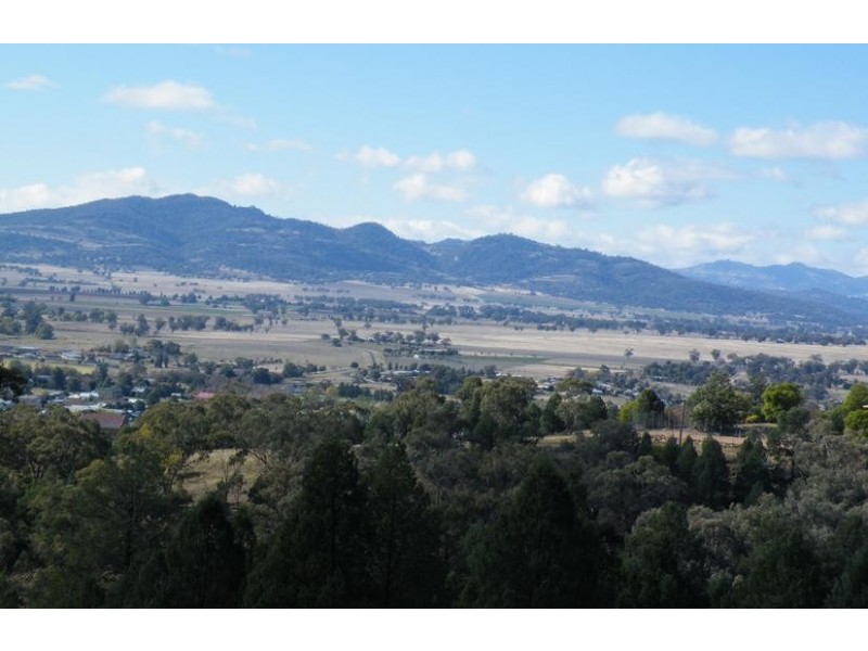 56 Ray Carter Drive, Quirindi NSW 2343