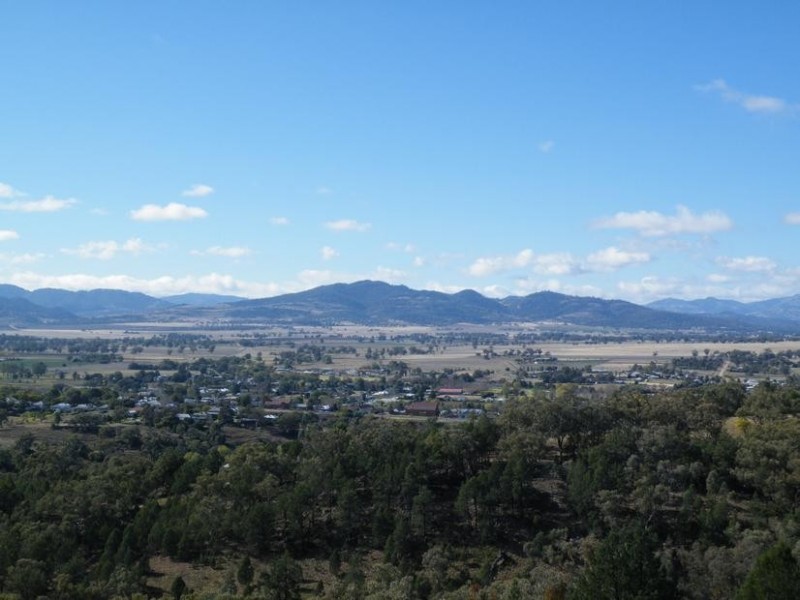 56 Ray Carter Drive, Quirindi NSW 2343