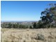 69 Ray Carter Drive, Quirindi NSW 2343