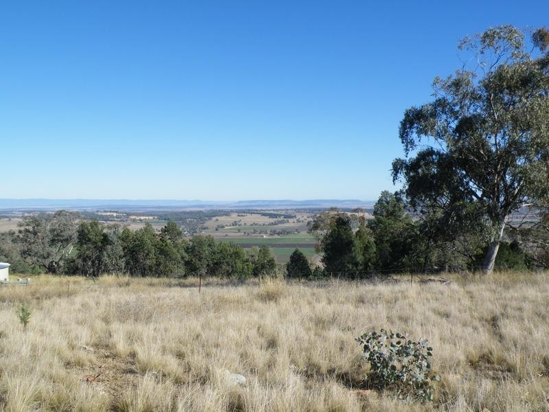 69 Ray Carter Drive, Quirindi NSW 2343