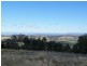 69 Ray Carter Drive, Quirindi NSW 2343