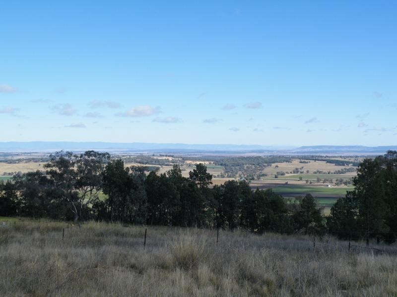 69 Ray Carter Drive, Quirindi NSW 2343
