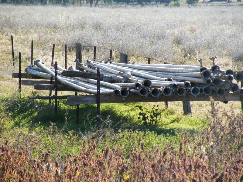 43 Nicholsons Lagoon Road, Quirindi NSW 2343
