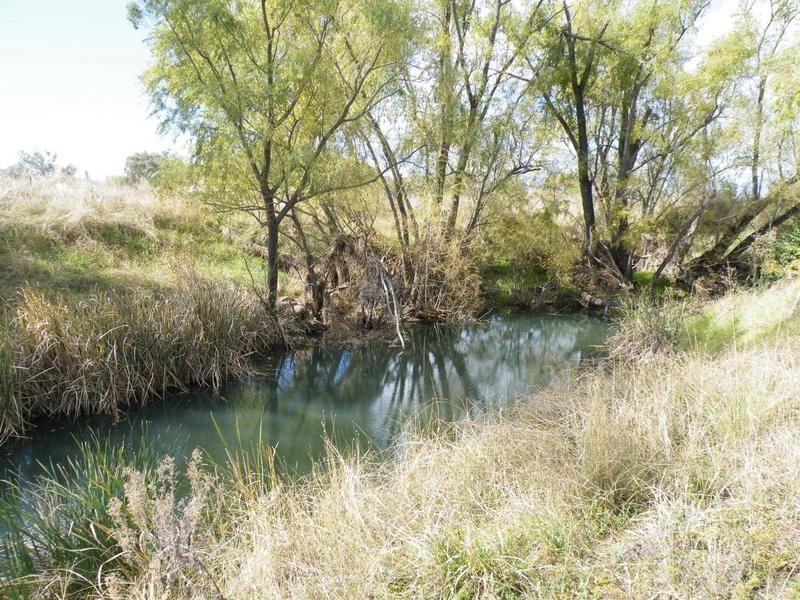Lot 9,  Seven Creeks Road, Quirindi NSW 2343