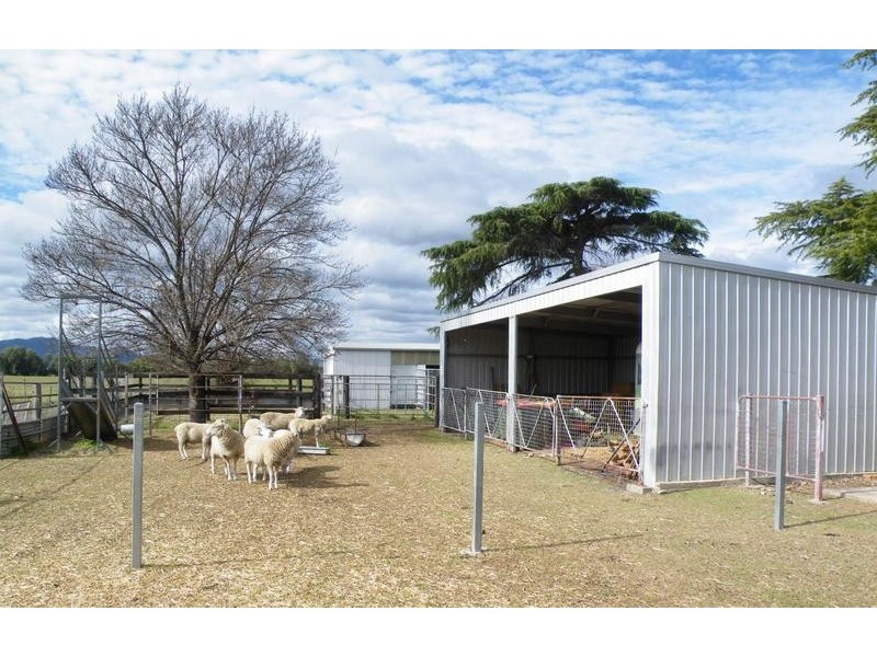 35 Pollock Street, Quirindi NSW 2343