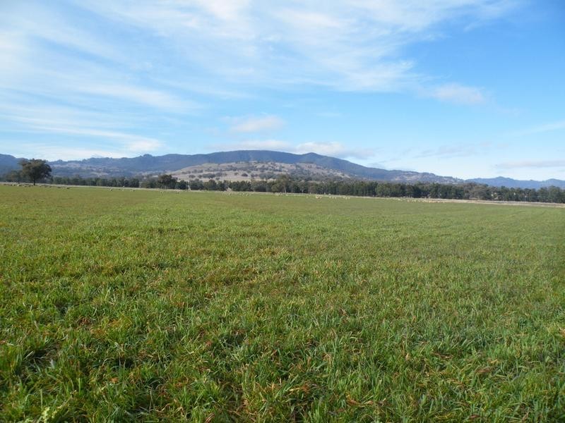 2 Dry Creek Road, Willow Tree NSW 2339