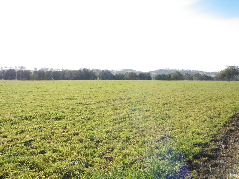 2 Dry Creek Road, Willow Tree NSW 2339