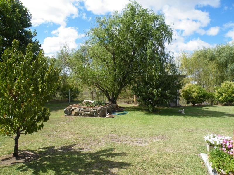6 Conlon Street, Quirindi NSW 2343