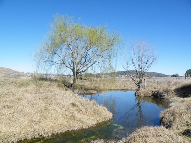 2 Dumbletons Road, Quirindi NSW 2343