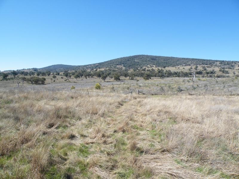 2 Dumbletons Road, Quirindi NSW 2343