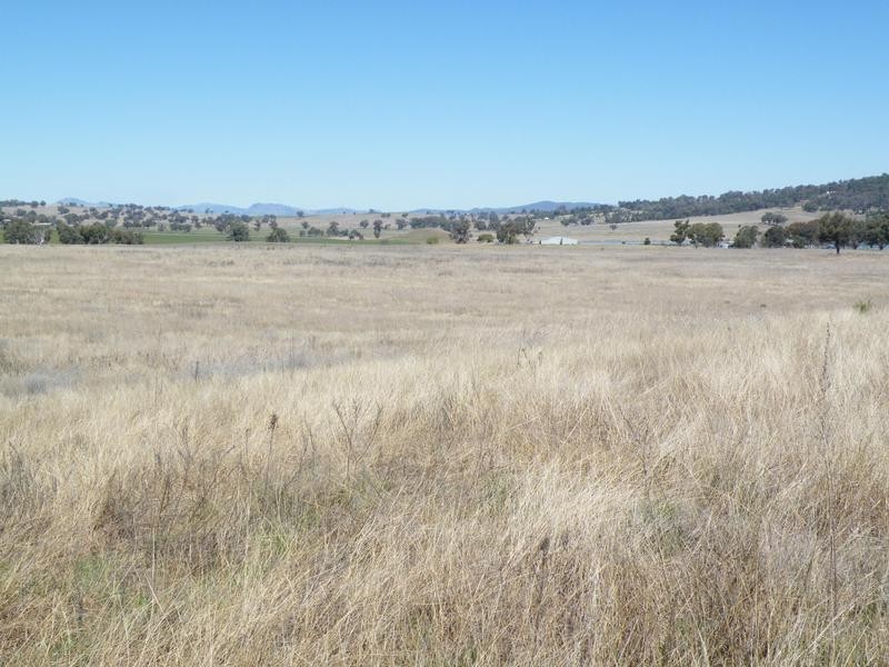 2 Dumbletons Road, Quirindi NSW 2343