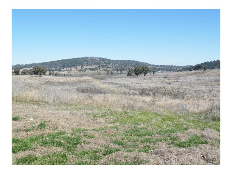 2 Dumbletons Road, Quirindi NSW 2343