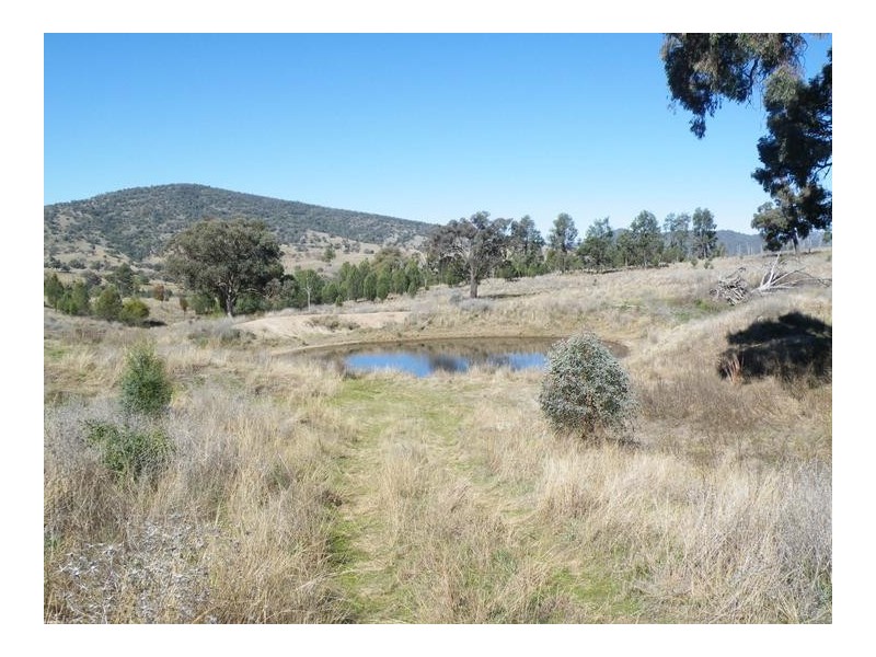 2 Dumbletons Road, Quirindi NSW 2343